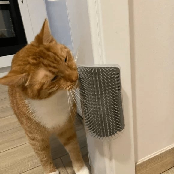 Cat Hammock Bed Lounger And Cat Corner Self Grooming Brush Comb Groomer - Picture 4 of 16